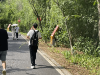 游客折损树枝　不文明行为当止