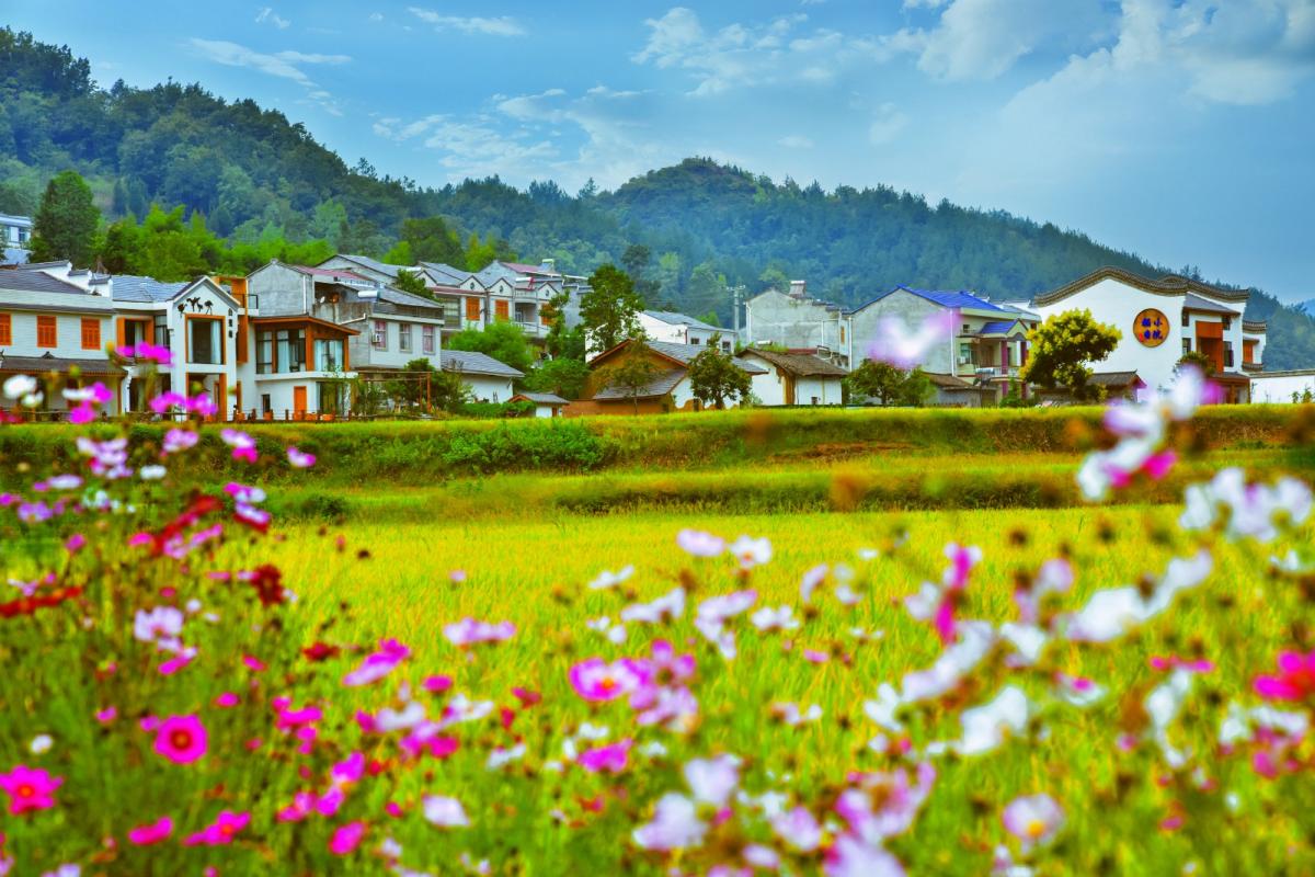 诗意田园---西河村.jpg