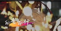向光而行