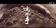 这双手