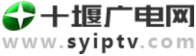 致全市党员干部关于禁止燃放烟花爆竹的倡议书