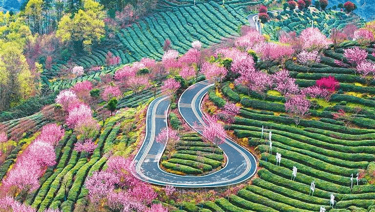 刘家山.png