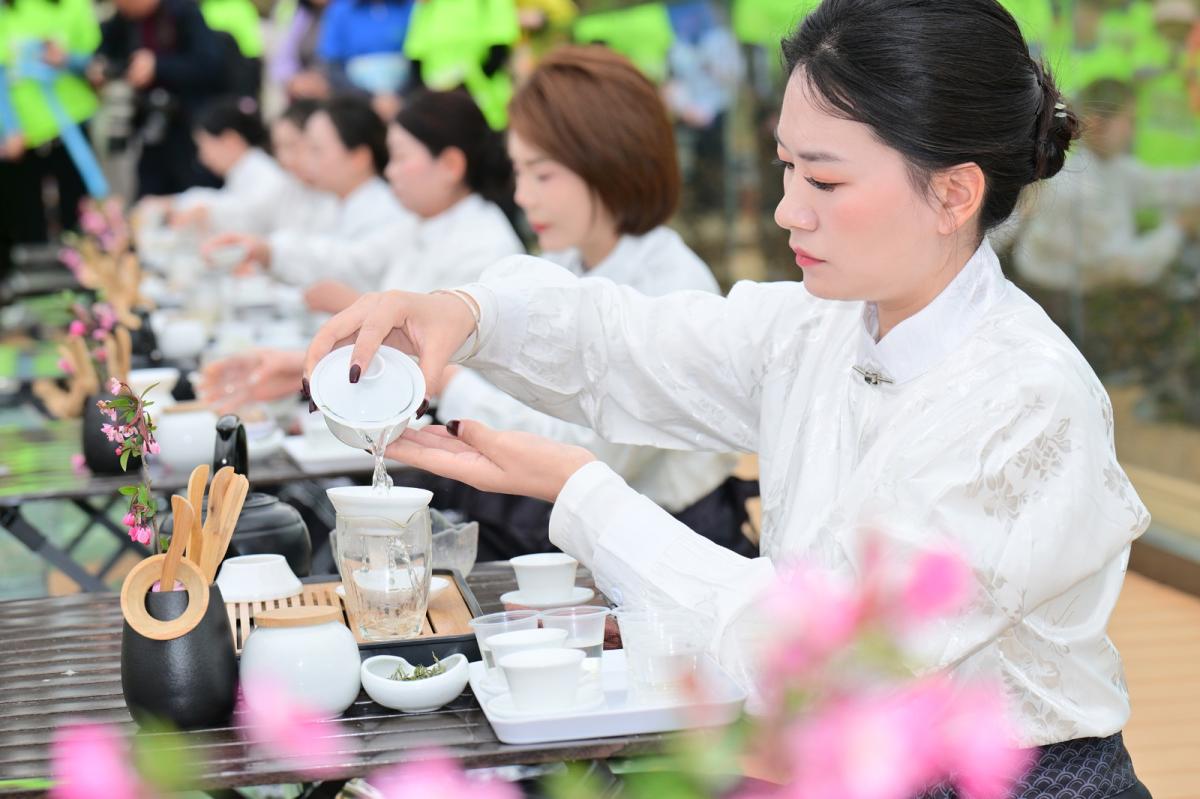 茶文化.jpg