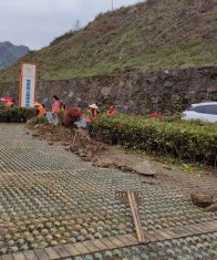 县公路养护中心：护好绿色风景线 铺就畅美幸福路